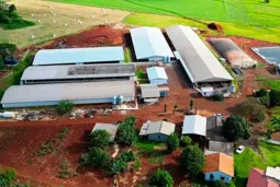 Climaves - Granja de suínos